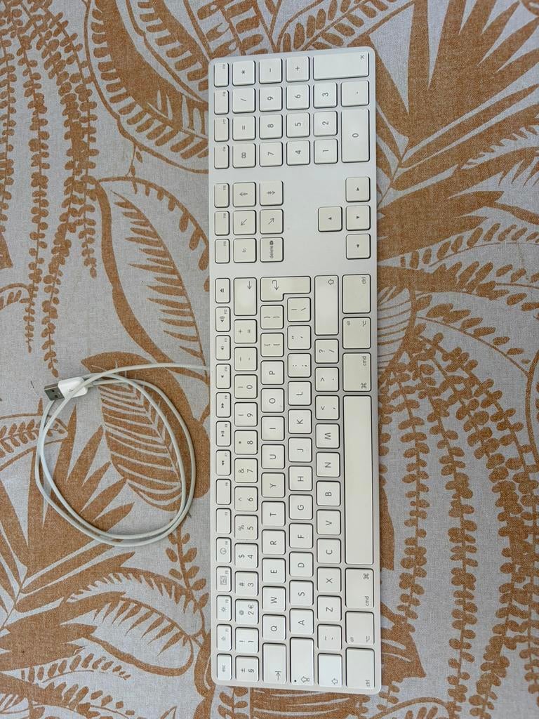 Apple toetsenbord a1243, Computers en Software, Toetsenborden, Ophalen of Verzenden, Qwerty, Gebruikt, Bedraad