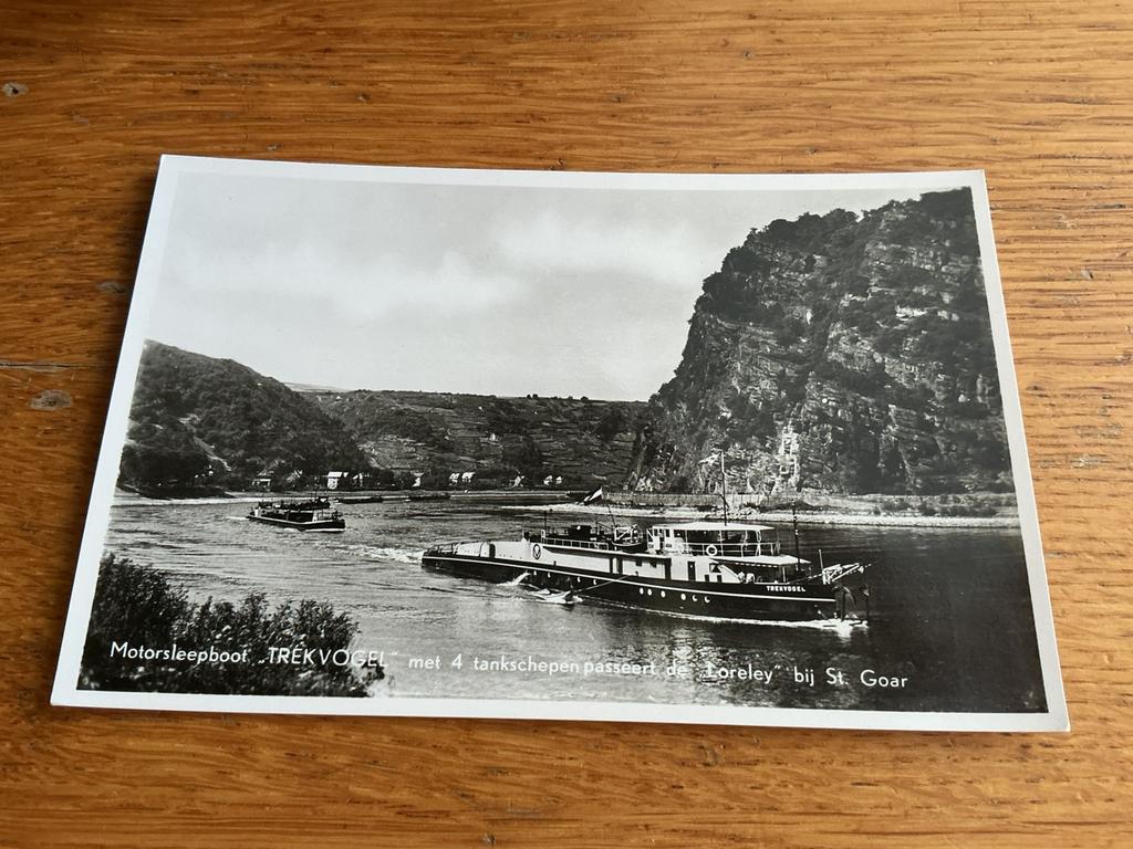 S660 SANKT GOAR DUITSLAND MOTORSLEEPBOOT TREKVOGEL, Ophalen of Verzenden, Duitsland