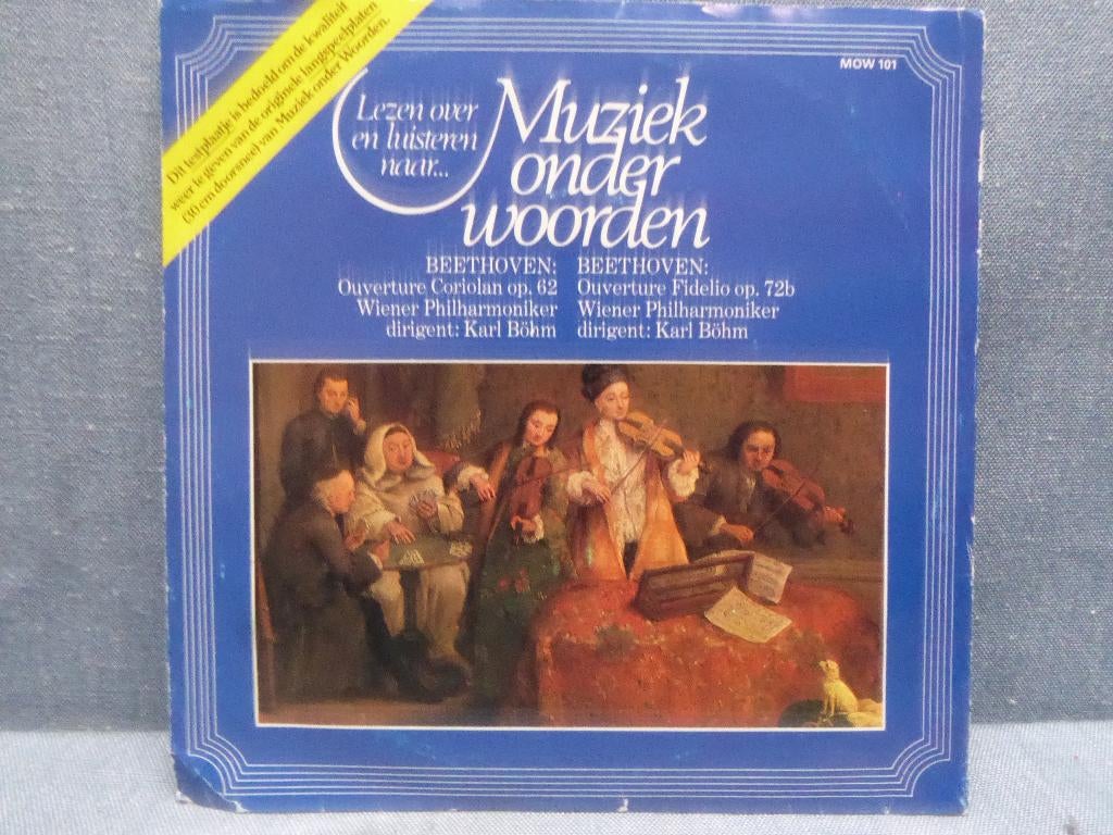 Beethoven lezen over en luisteren naar muziek onder woorden, Overige formaten, Overige typen, Ophalen of Verzenden, Zo goed als nieuw