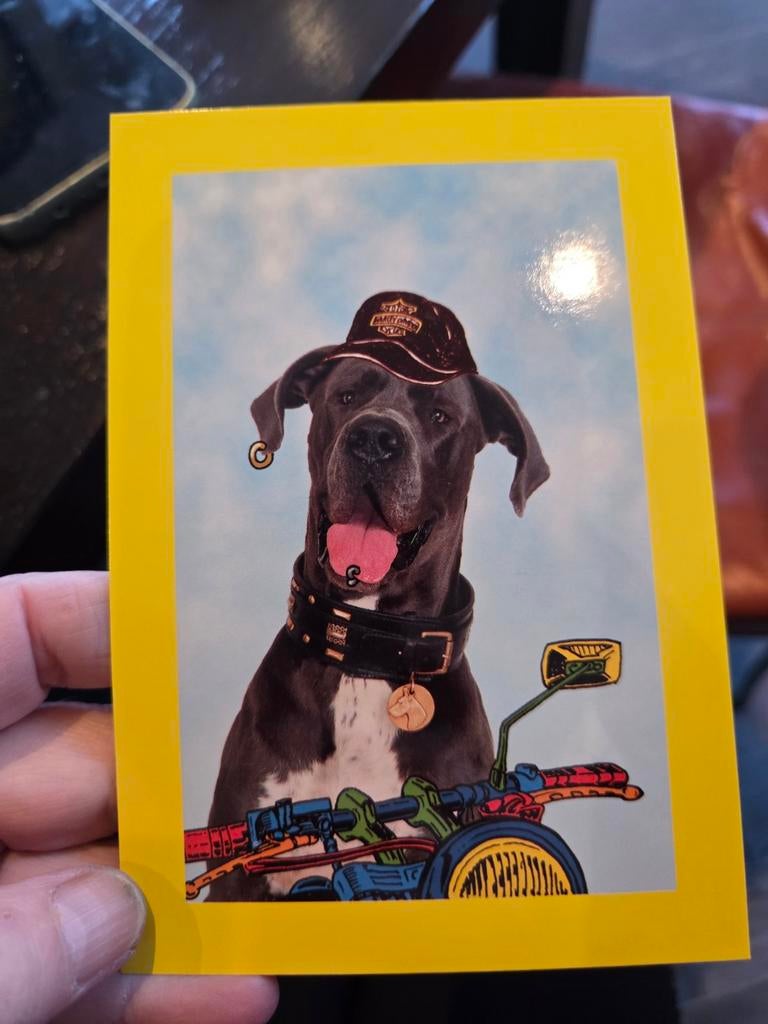 Grappige ansichtkaart hond op motor Harley Davidson, Ophalen of Verzenden