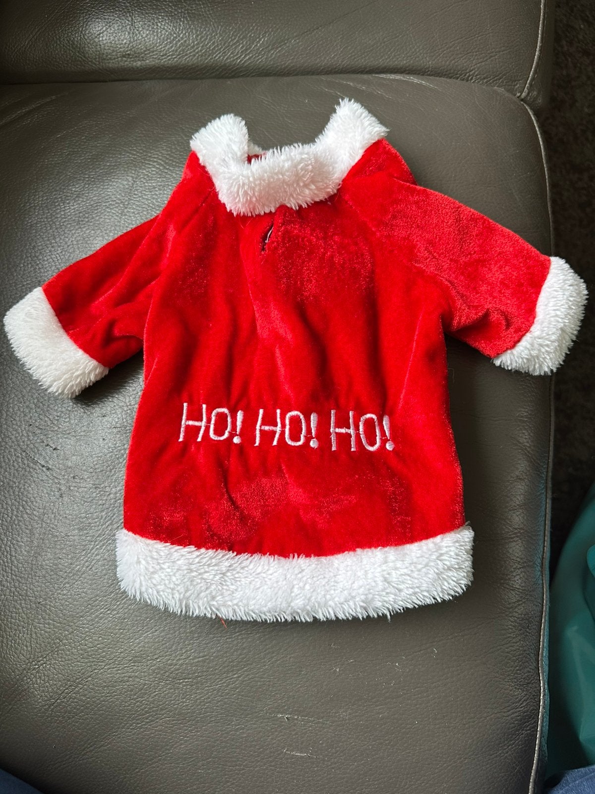 Hondenkleertjes voor een klein hondje, Ophalen, Gebruikt, Hondenjas