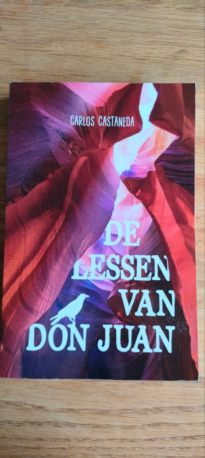 Carlos Castaneda - De lessen van Don Juan, Boeken, Spiritualiteit algemeen, Overige typen, Ophalen of Verzenden, Zo goed als nieuw