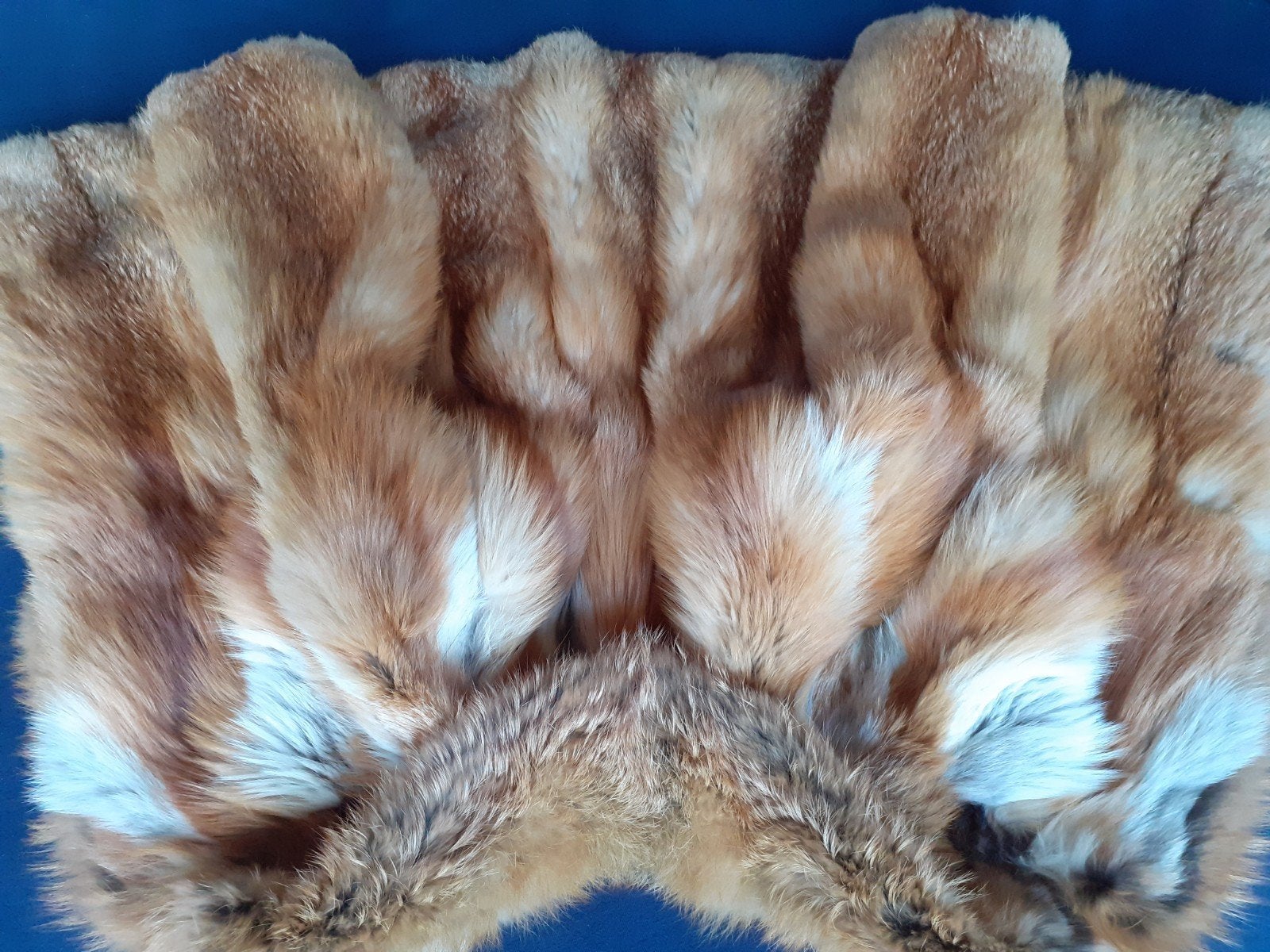 prachtige echte FOX bontjas bont jas bontjasje 36/38, Ophalen of Verzenden, Zo goed als nieuw, Maat 36 (S), Bruin