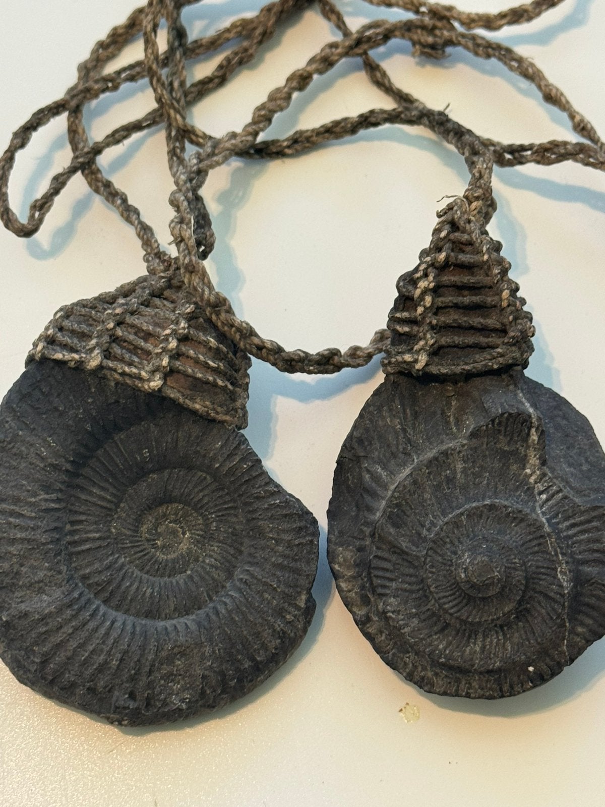2 Papua new guinea ketting amulet fossiel ammoniet, Ophalen of Verzenden