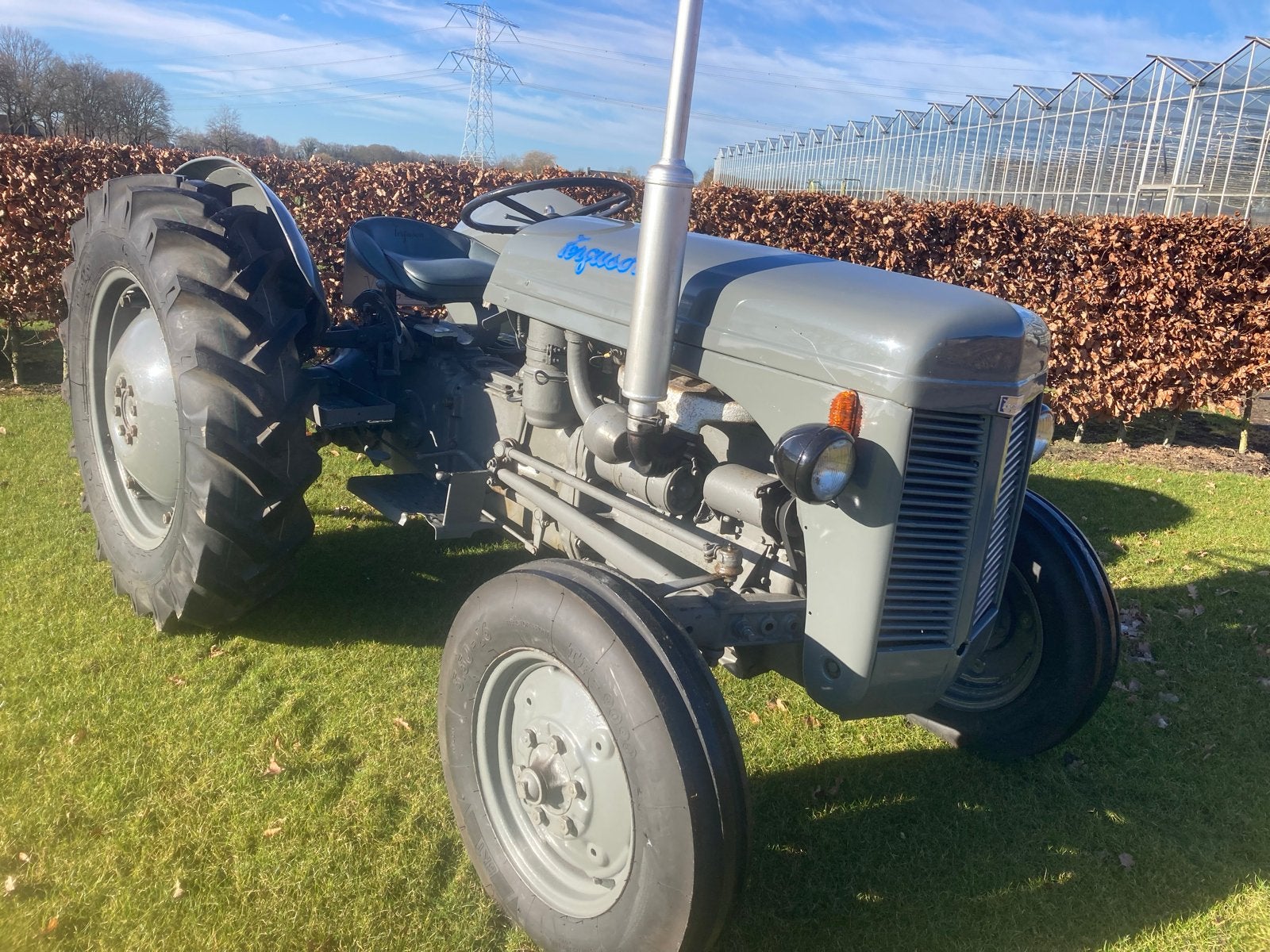 Ferguson TE20 Oldtimer Tractor - Goed Onderhouden, Zakelijke goederen, Agrarisch | Tractoren, Ophalen, Meer dan 10000, Oldtimer