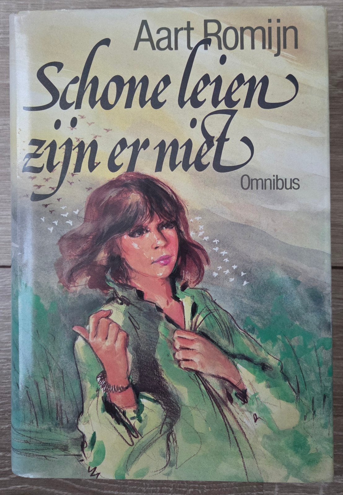Aart Romijn - Schone leien zijn er niet - Omnibus 3 verhalen, Noord-Brabant, Aart Romijn, Ophalen of Verzenden, Zo goed als nieuw
