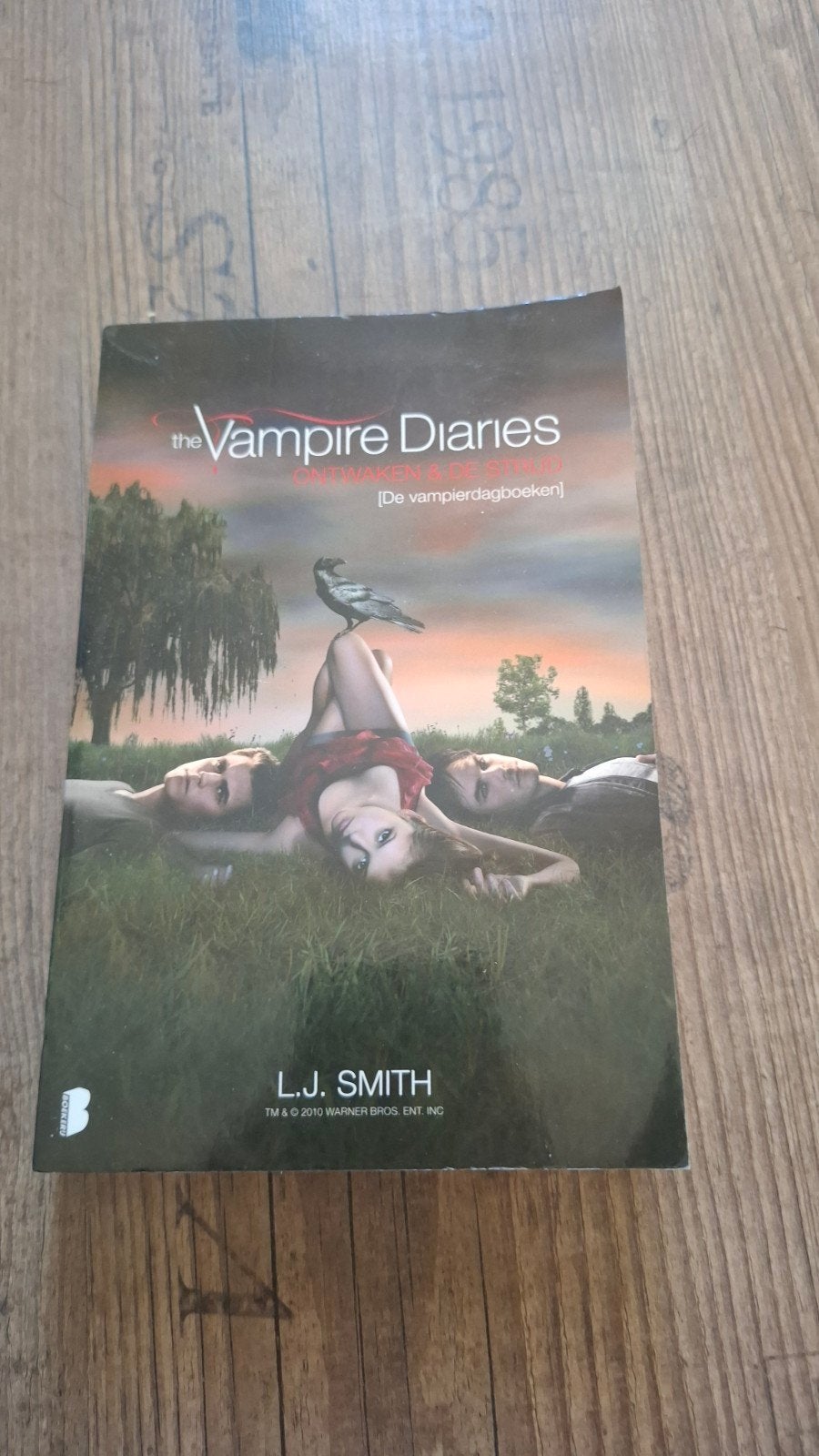 The Vampire Diaries, Ophalen of Verzenden, Gelezen, L.J. Smith, Nederland