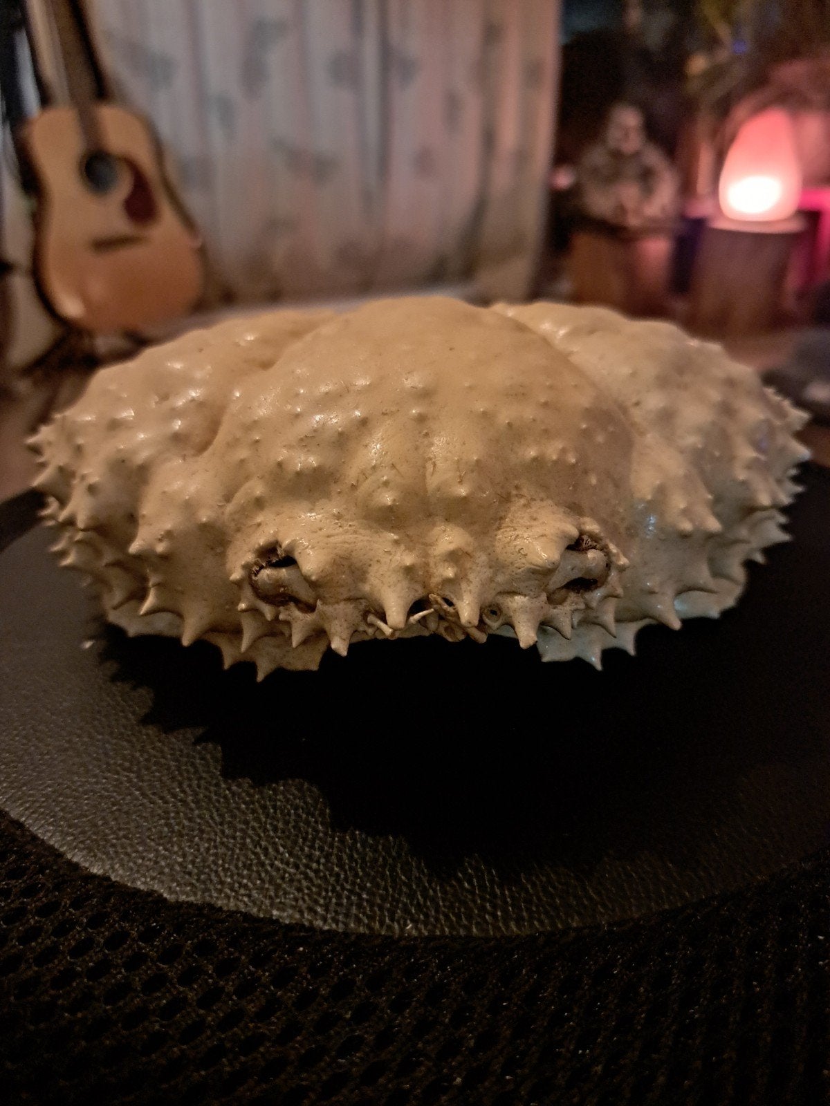 krab pantser, Ophalen of Verzenden
