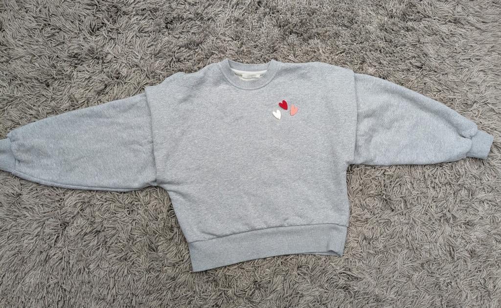 Prachtige Zara sweater grijs leuke details strikjes broches!, Maat 38/40 (M), Zara, Ophalen of Verzenden, Zo goed als nieuw