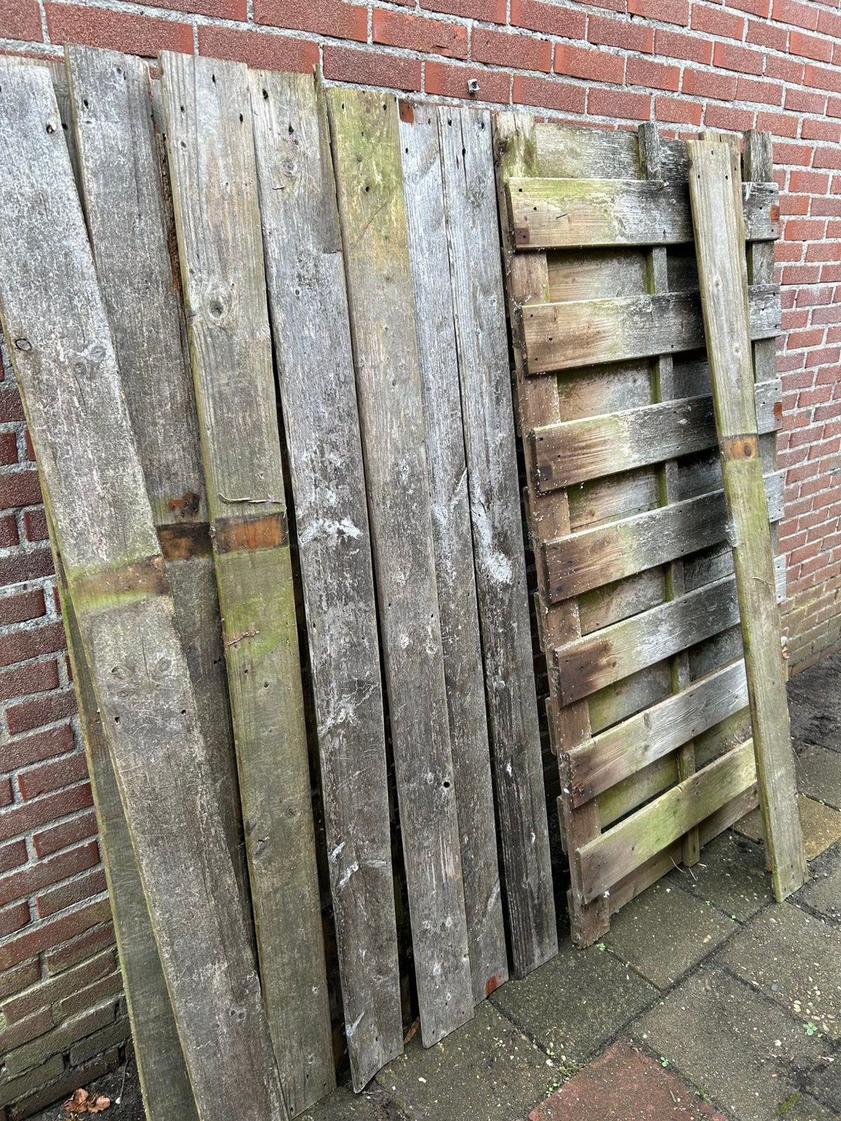 Gratis sloophout, Tuin en Terras, Ophalen, 1 tot 2 meter, Minder dan 3 meter, Zo goed als nieuw