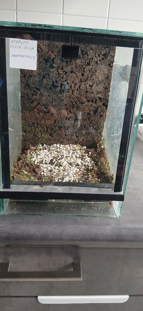 terrarium, Dieren en Toebehoren, Ophalen, Gebruikt, Terrarium of Paludarium