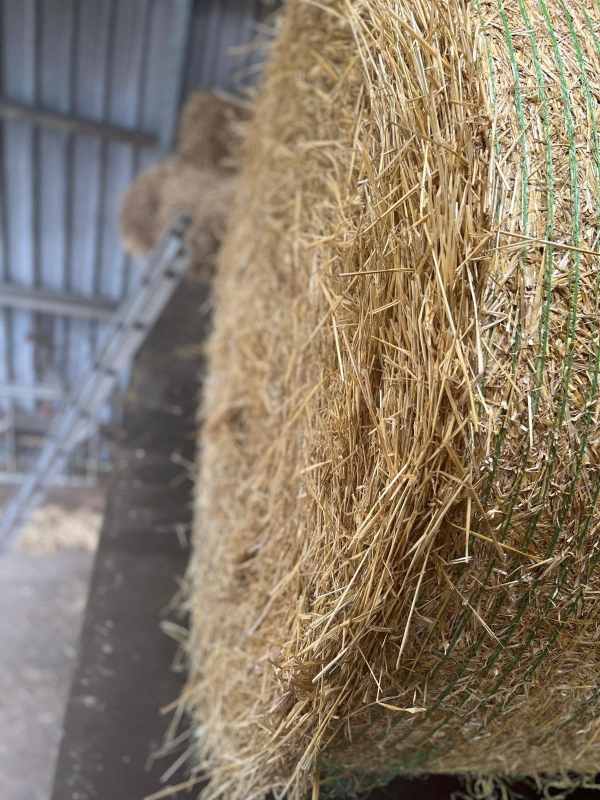 Grote ronde balen gerste stro - 160 cm doorsnede, Dieren en Toebehoren, Ophalen of Verzenden