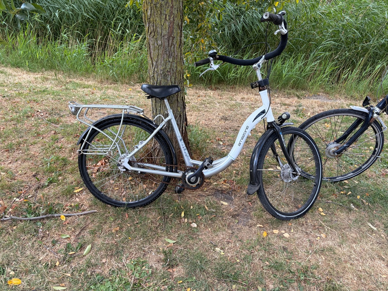Damesfietsen en moederfiets te koop €20/€25 per stuk, Ophalen of Verzenden, Gebruikt