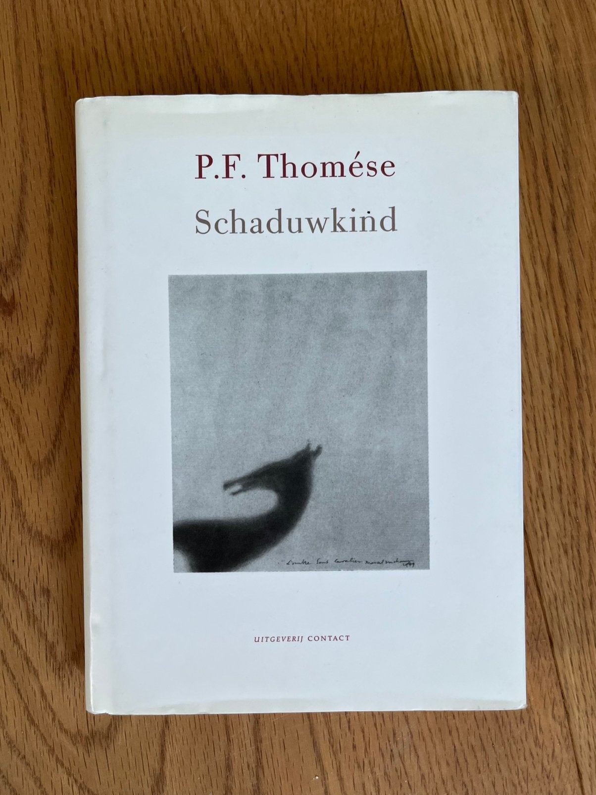 Schaduwkind - P.F. Thomése, Boeken, Ophalen, Gelezen, Nederland