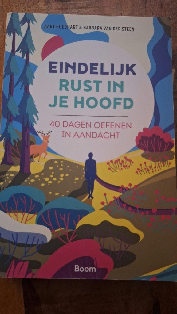 Eindelijk rust in je hoofd: 40 dagen oefenen in aandacht, Boeken, Ophalen of Verzenden, Zo goed als nieuw, Aart Goedhart & Barbara van der Steen