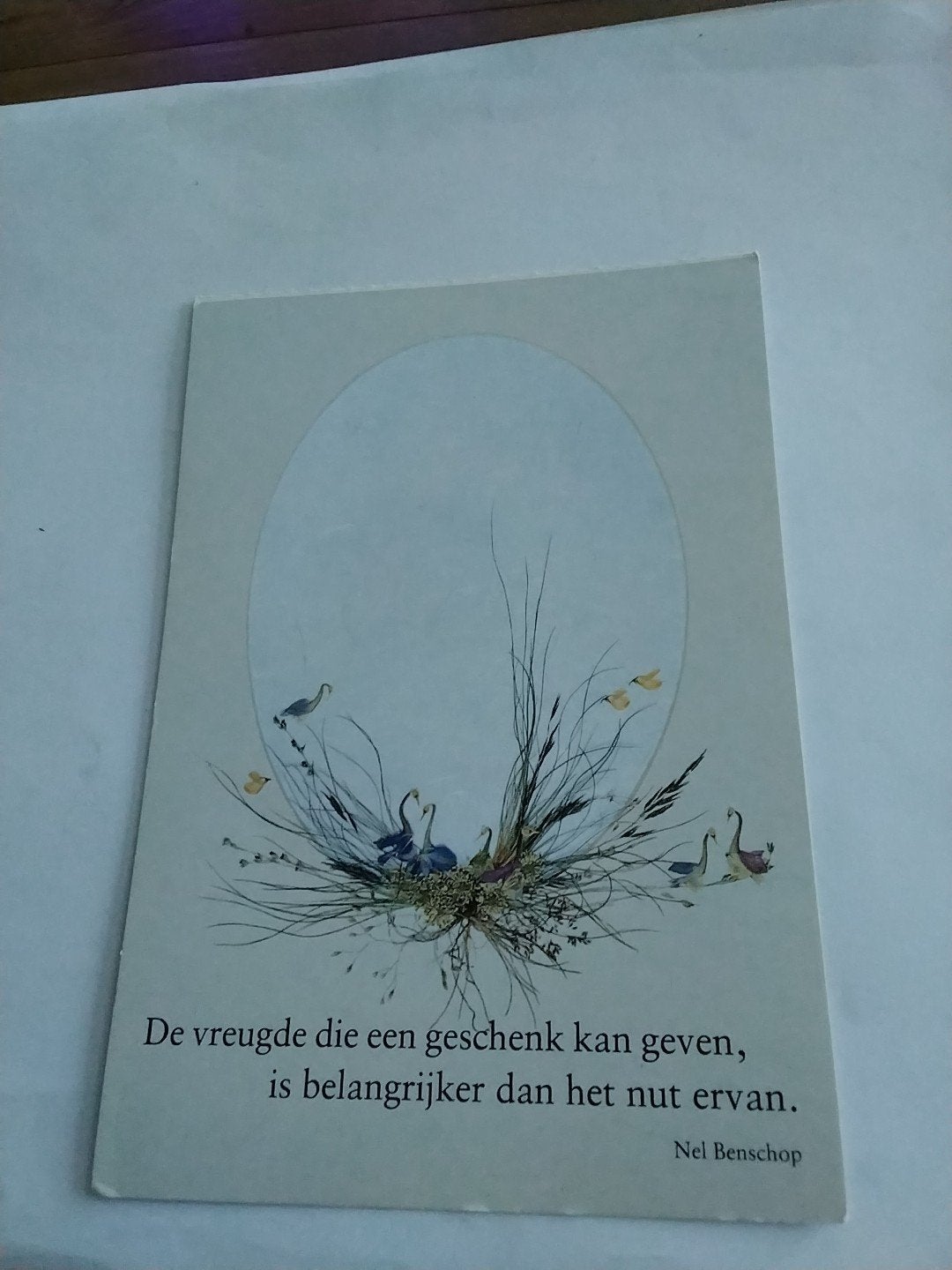 kaart Nel Benschop - De vreugde die een geschenk kan geven.., Ophalen of Verzenden, 1980 tot heden, Ongelopen