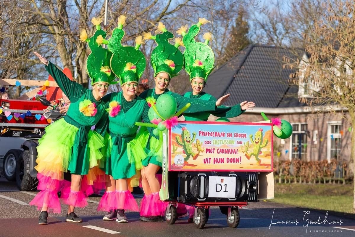 4 complete cactus carnavalsoutfits, Ophalen, Carnaval