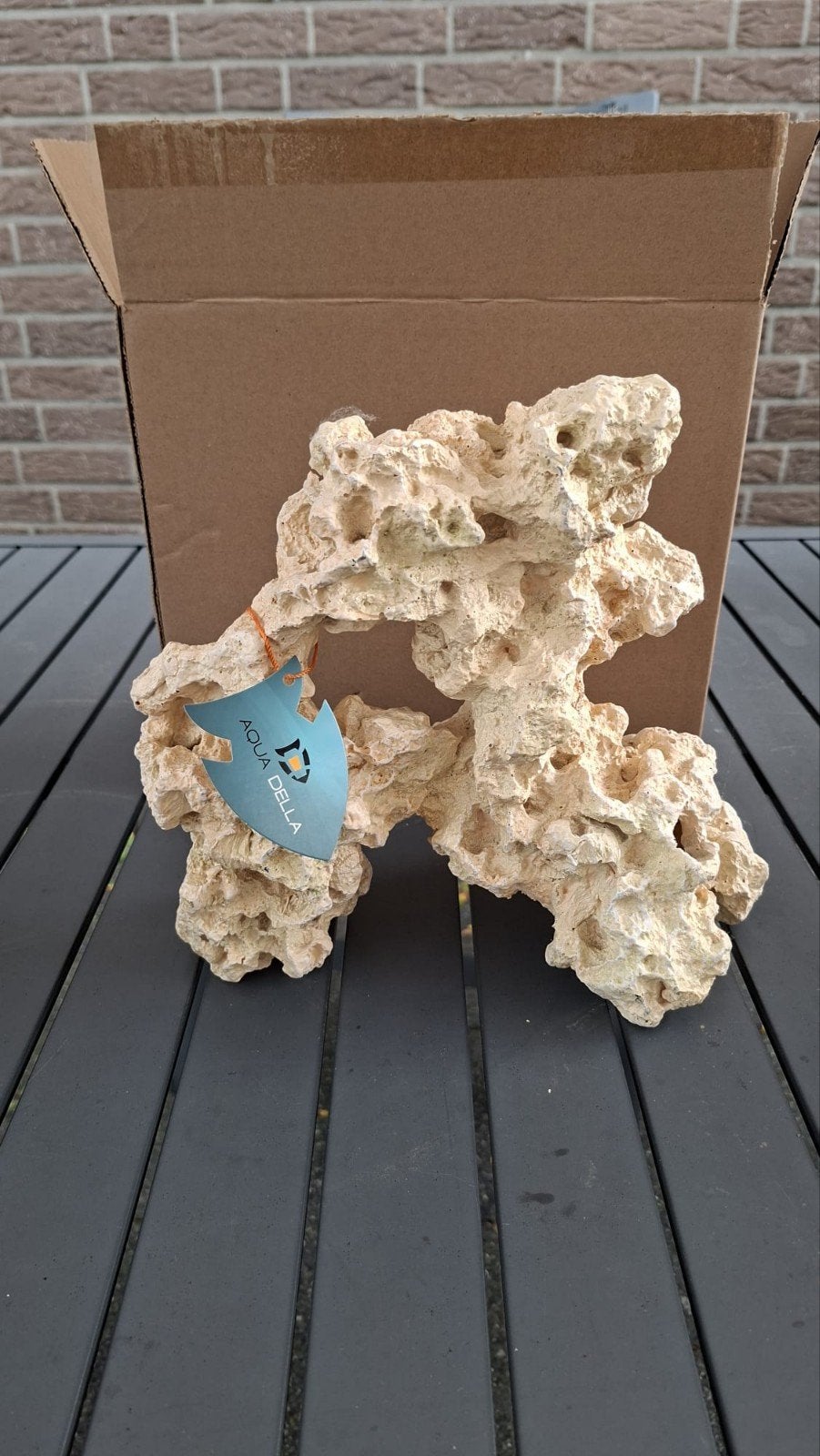 Aqua d ella moon 2 stuks maat L, Ophalen of Verzenden, Nieuw, Plant(en), Steen of Hout