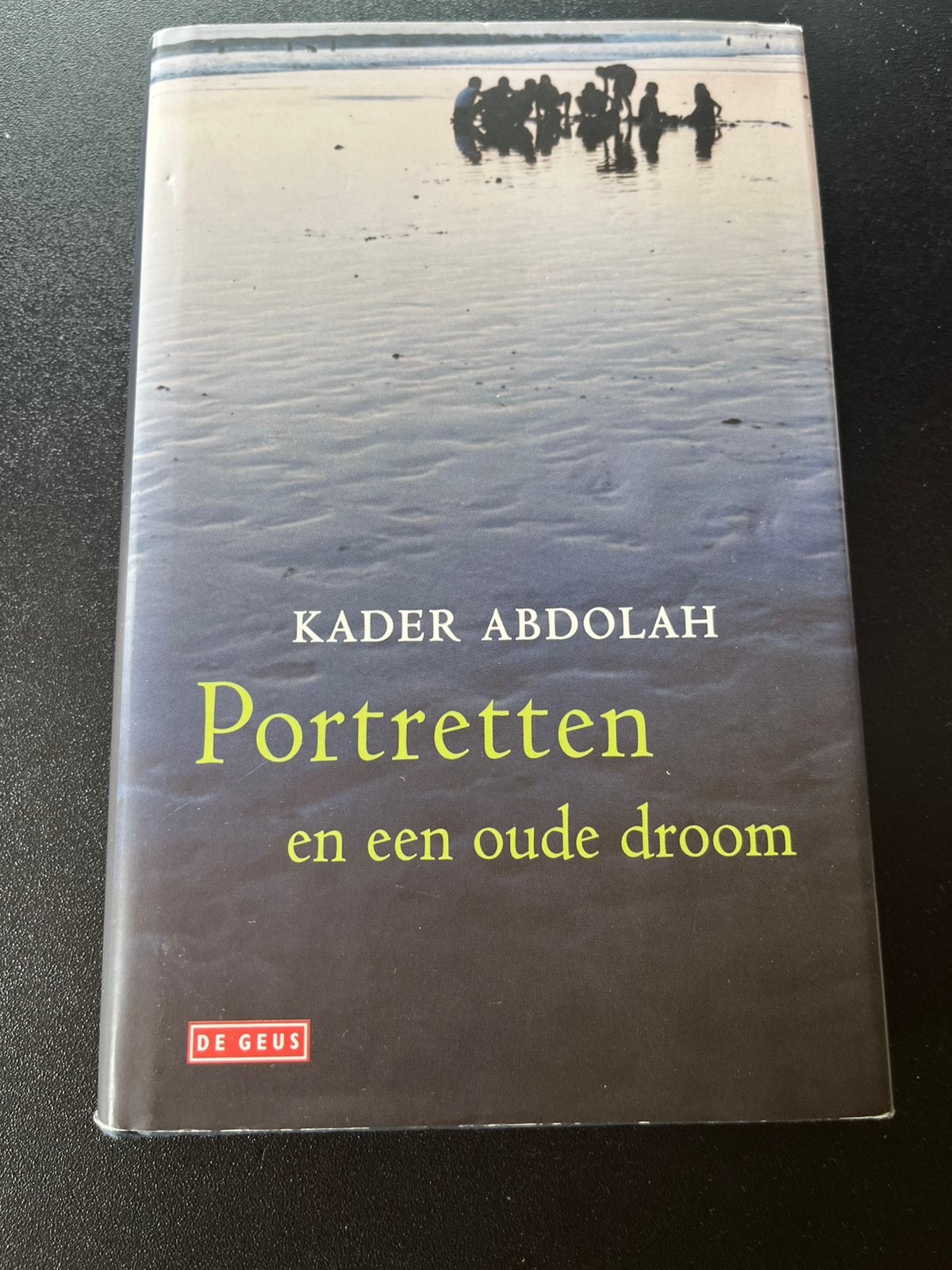 Portretten en een oude droom - Kader Abdolah, Ophalen, Gelezen, Wereld overig