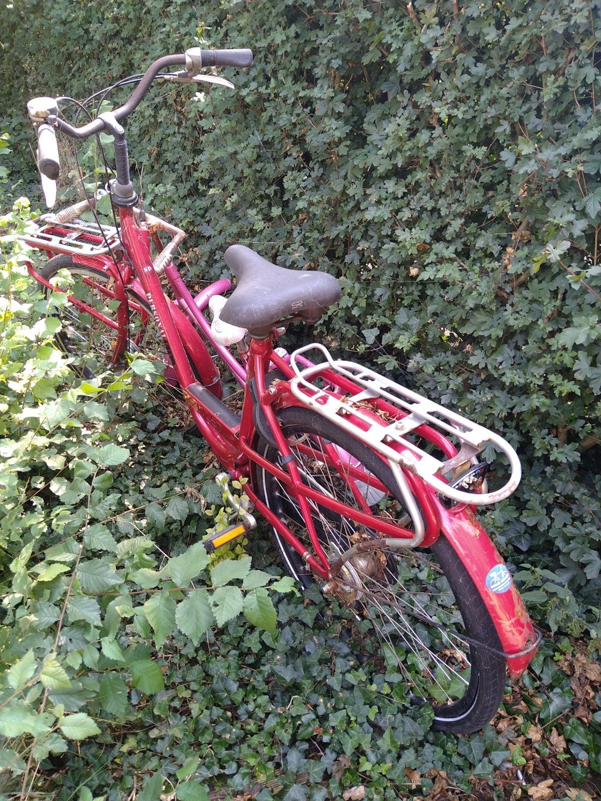 Camping fietsen (locatie Heeg), Fietsen en Brommers, Fietsen | Dames | Damesfietsen, Ophalen, Gebruikt, Overige merken