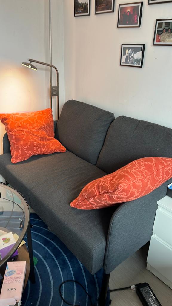 Ikea 2-Seater Couch and 2 pillows - Like New, Ophalen, Zo goed als nieuw, Minder dan 150 cm