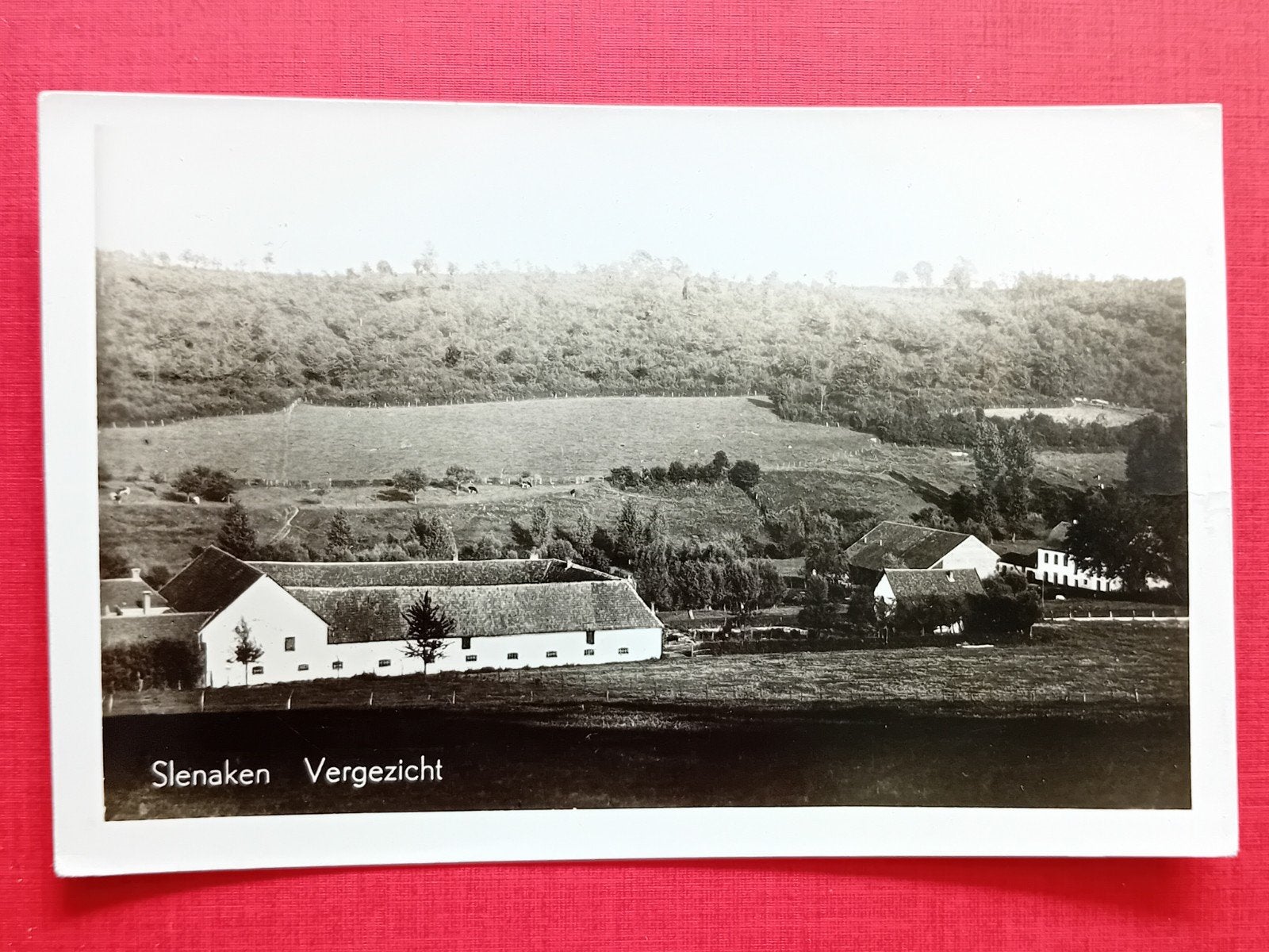 Oude Ansichtkaart Slenaken Vergezicht Limburg Zwart-wit, Ophalen of Verzenden, 1920 tot 1940, Ongelopen, Limburg