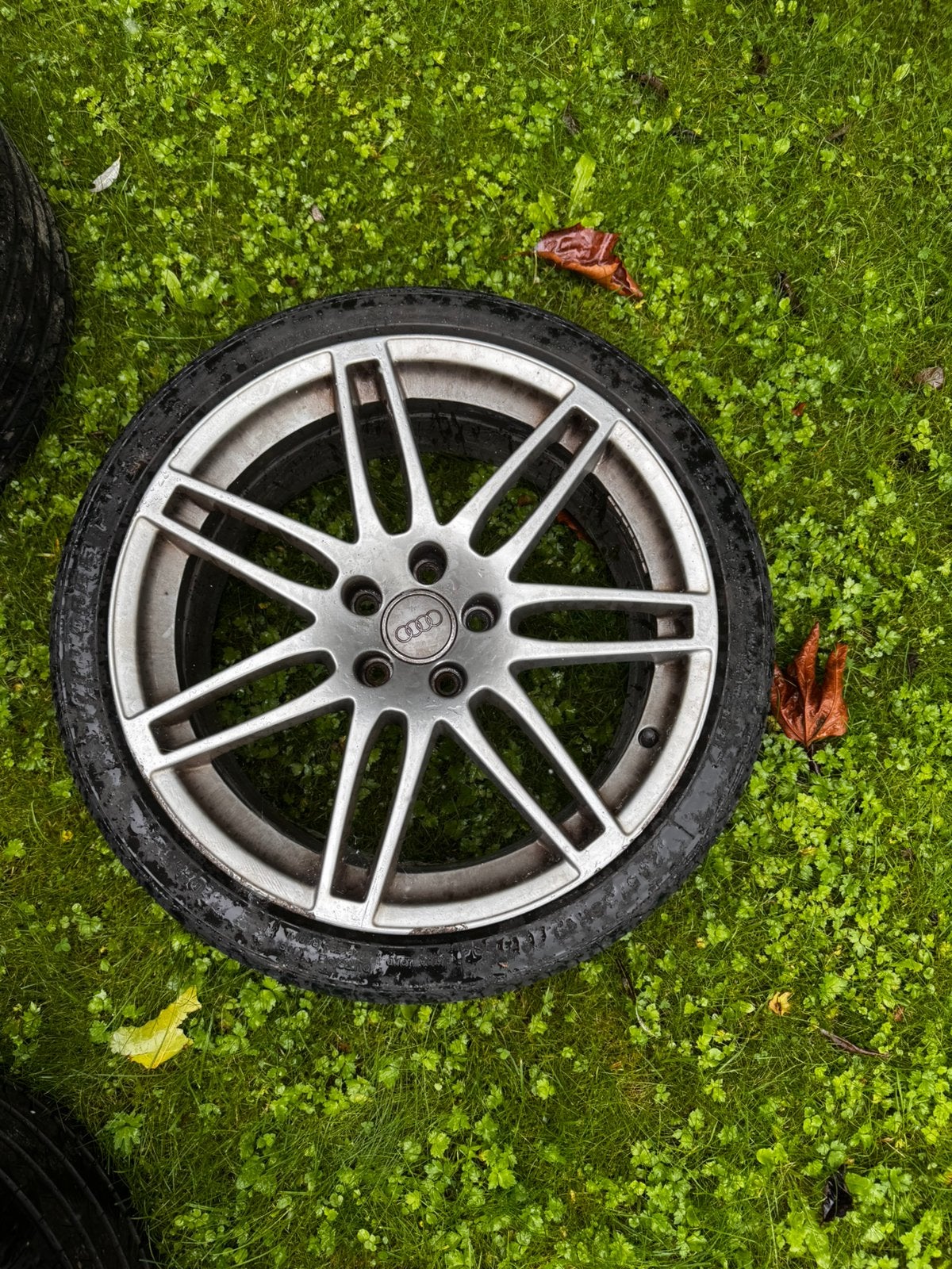 Originele Audi speedline st5 velgen, Velg(en), 235 mm, Zomerbanden, Ophalen