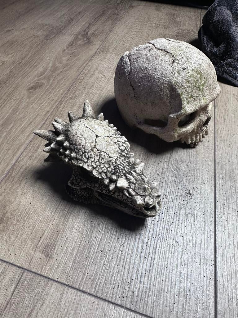 2 schedel ornamenten, Ophalen of Verzenden, Zo goed als nieuw, One size fits all