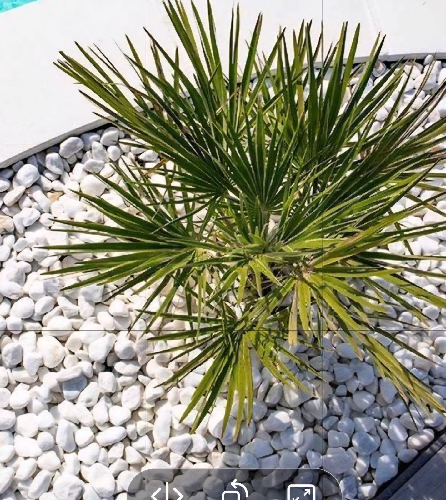 Luxe witte Carrara Keien (4-10 cm) - per 30 kg -Liggen klaar, Tuin en Terras, Bloembakken en Plantenbakken, Ophalen, Steen, Minder dan 30 cm