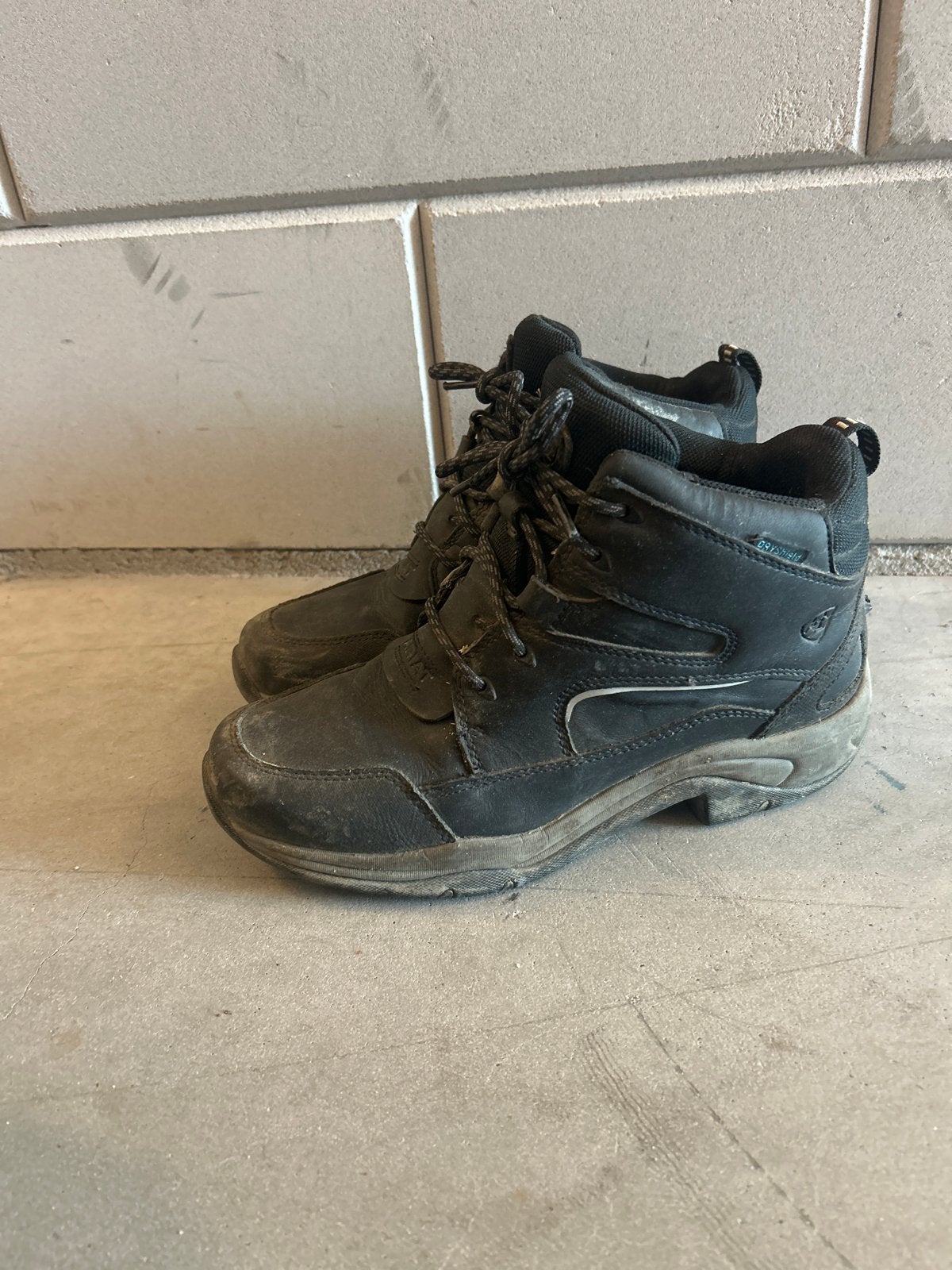 Stalschoenen ariat maat 39, Kleding | Dames, Schoenen, Ophalen, Gedragen, Zwart, Wandelschoenen