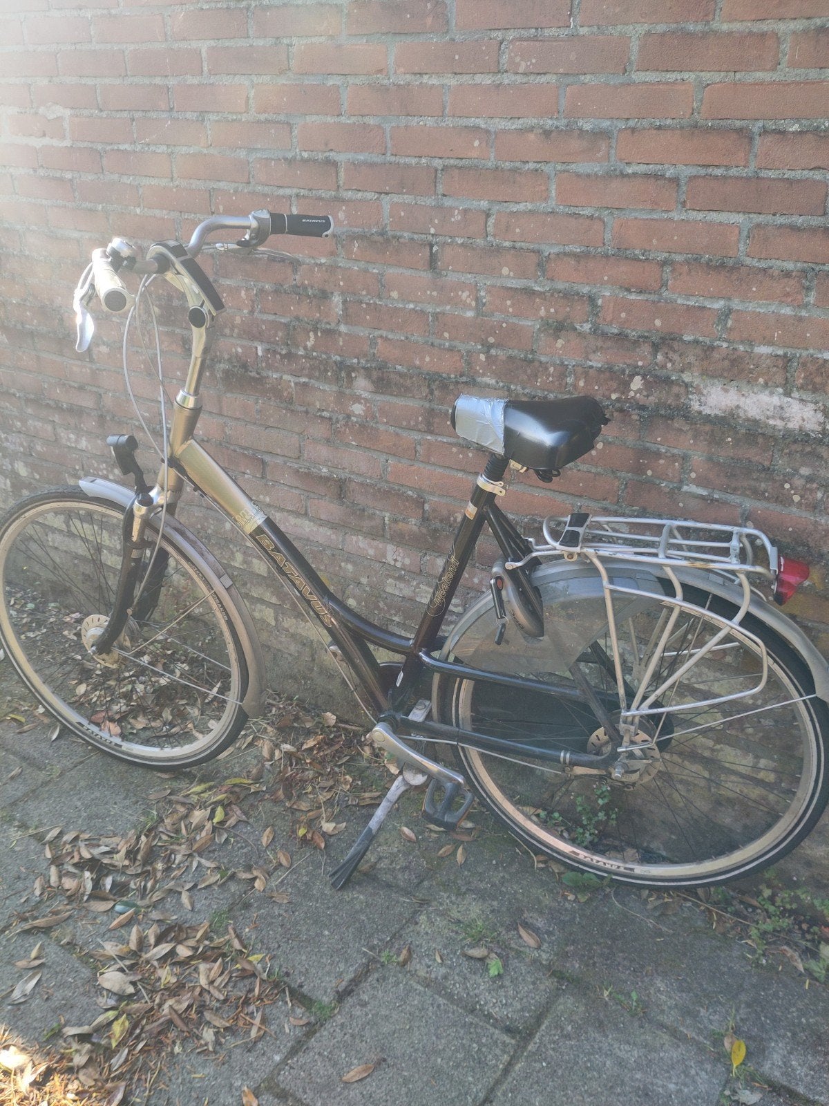 Batavus Damesfiets, Ophalen, Velgrem, Versnellingen, Batavus