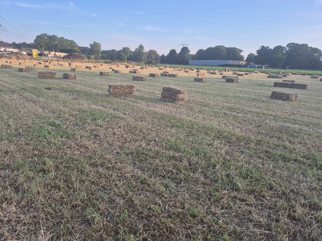 Paardenhooi, Dieren en Toebehoren, Dierenvoeding, Ophalen, Vee
