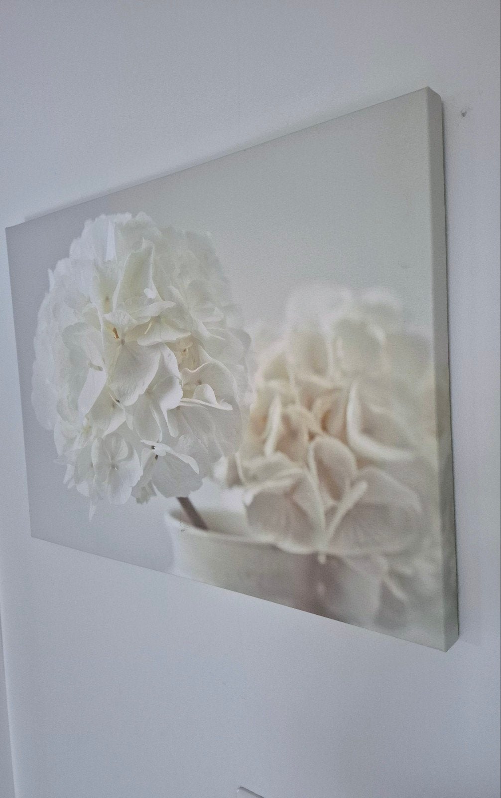 Canvas schilderij met witte hortensia's, 50 – 75, Gebruikt, Ophalen of Verzenden, Schilderij