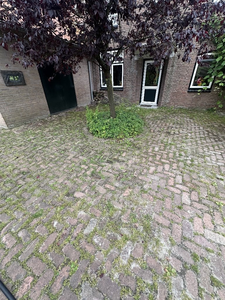 Nog deze zomer uw buitenruimte weer als nieuw?, Diensten en Vakmensen, Garantie, Tuinonderhoud of Snoeiwerk