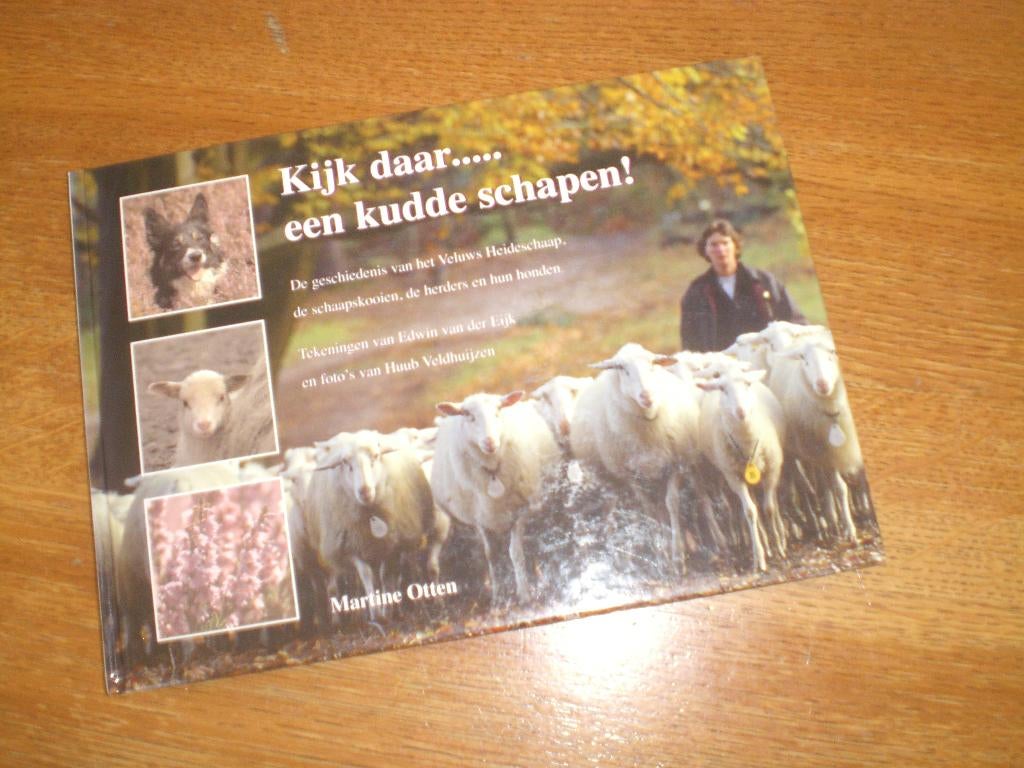 boek kijk daar   een kudde schapen  Otten  veluwe herders, Boeken, Dieren en Huisdieren, Ophalen of Verzenden, Zo goed als nieuw