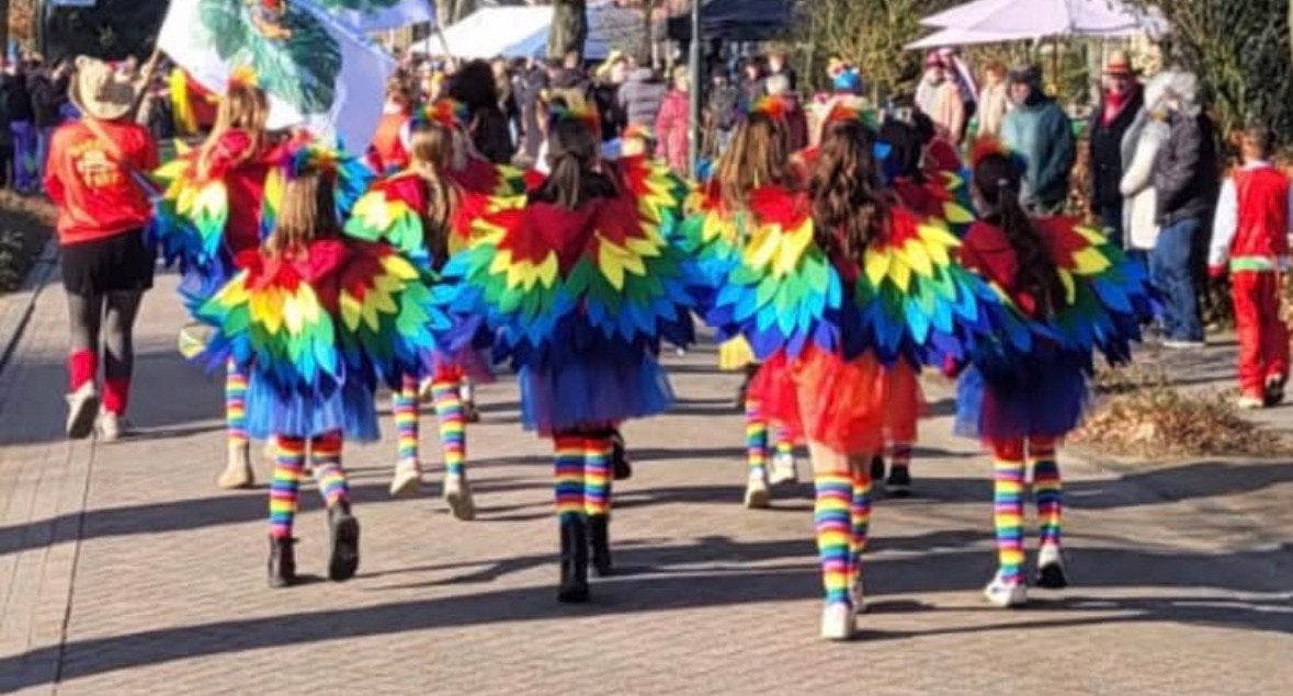 Carnaval loopgroep apen en papegaaien 24 set kleding, Ophalen of Verzenden, Zo goed als nieuw, Carnaval
