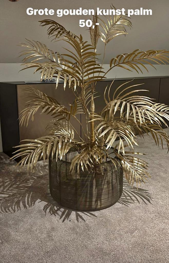 Mooie grote kunst palm, Ophalen, Zo goed als nieuw