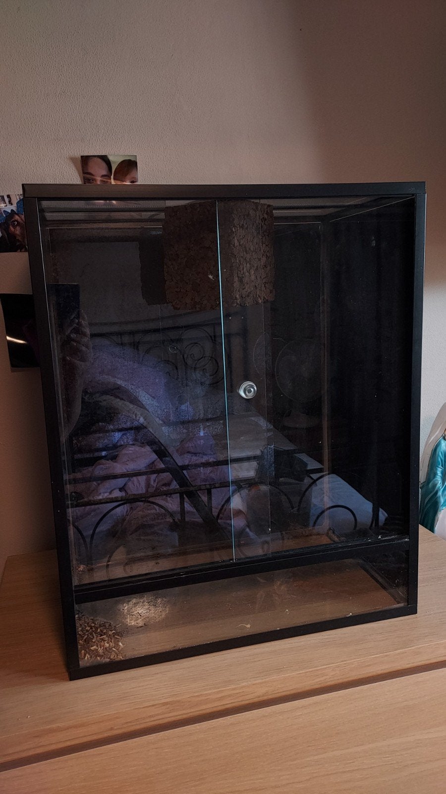 Terrarium in nette staat, zwarte zijkanten, Ophalen, Zo goed als nieuw, Terrarium of Paludarium