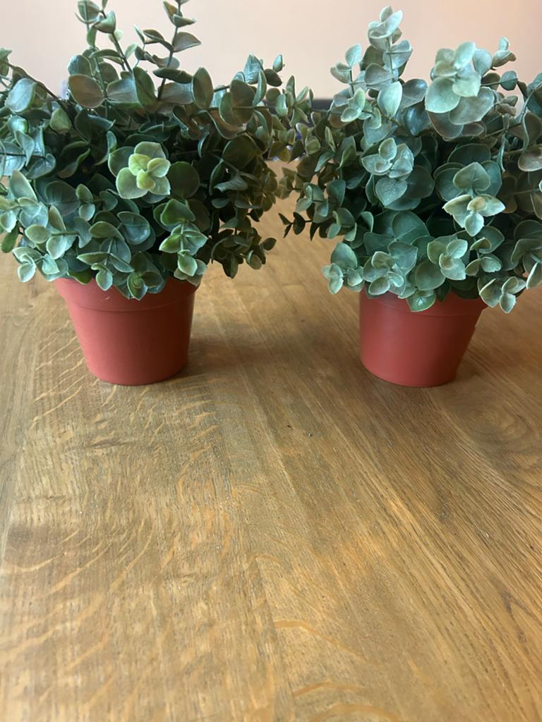 IKEA Kunstplant FEJKA Eucalyptus (2 stuks), Binnen, Groen, Kunstplant, Ophalen of Verzenden