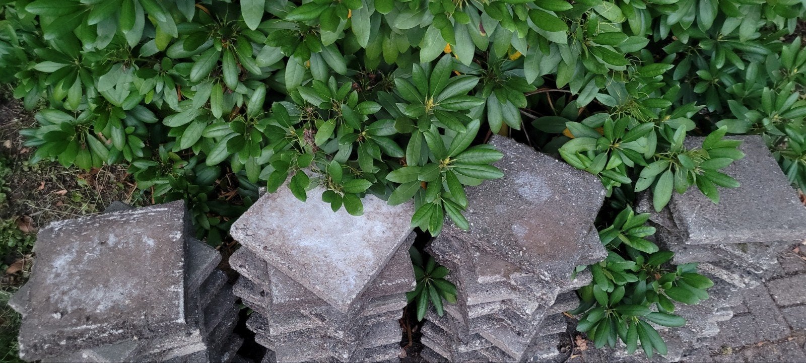 Gratis af te halen stoeptegels., Tuin en Terras, Grind, Keien en Split, Ophalen, Overige materialen, Gebruikt, Overige typen