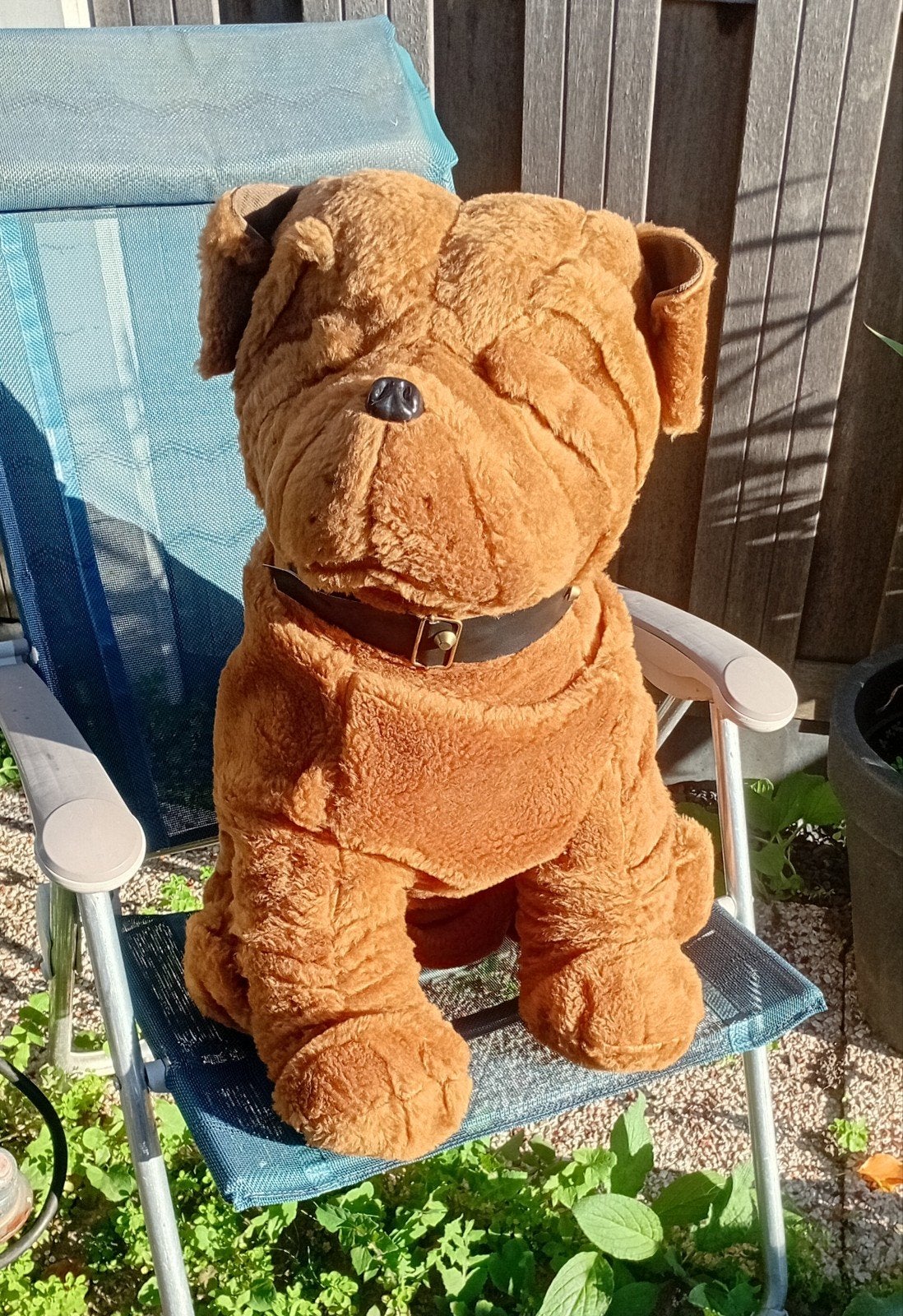 shar pei.lief zindelijk stil en kindvriendelijk, Ophalen of Verzenden, Stoffen beer, Overige merken