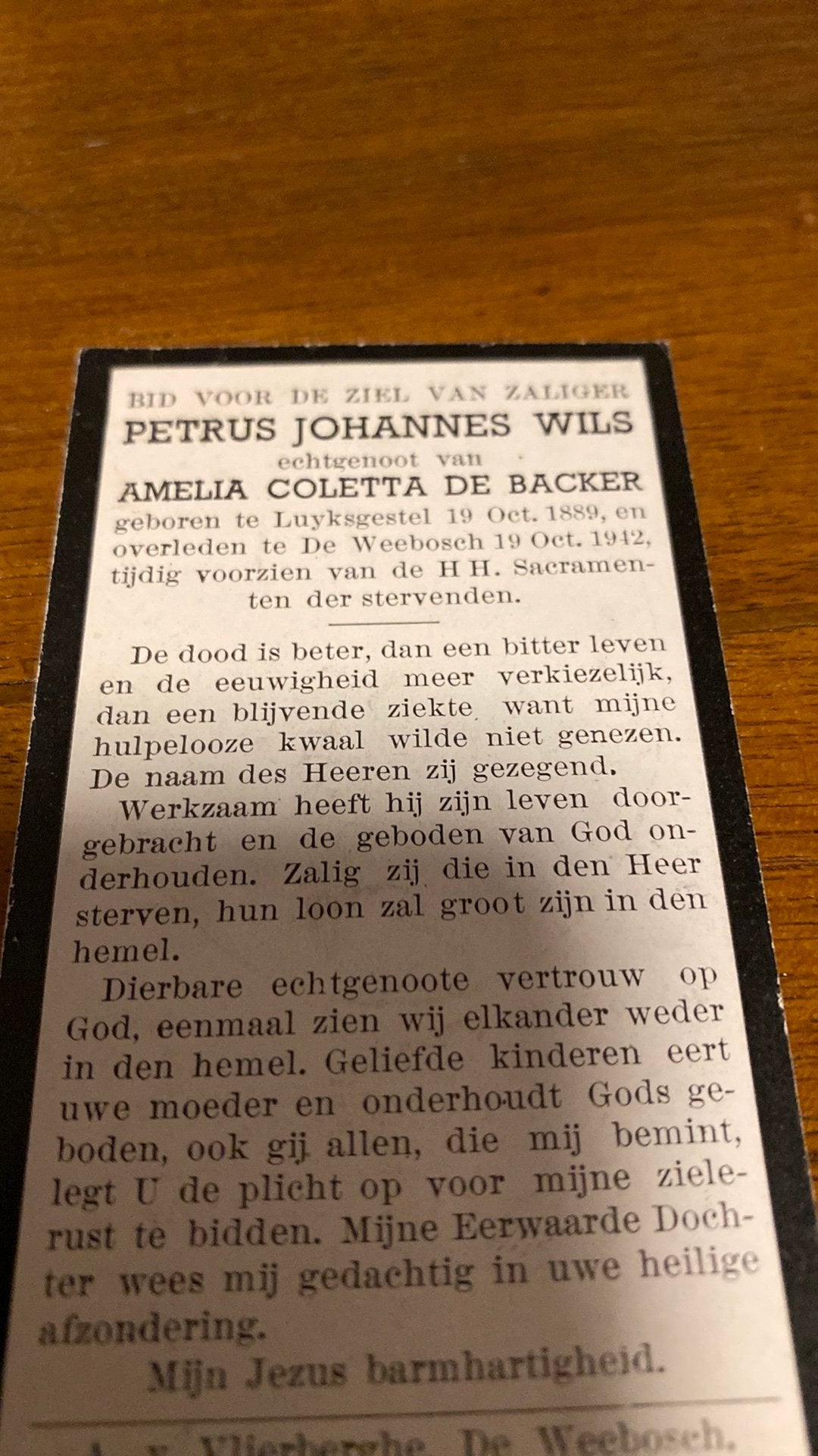 PJ Wils x de Backer 1889 Luijksgestel 1912 De Weebosch, Ophalen of Verzenden