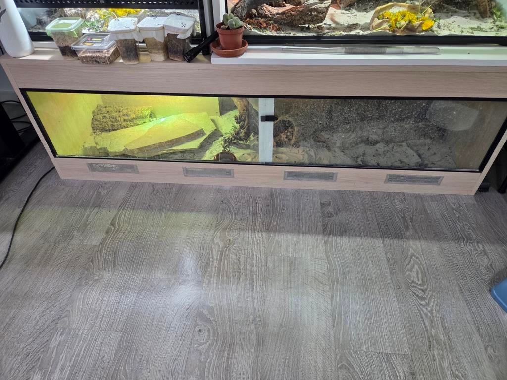 Terrarium (164x57x50) Met 3 keramische fittingen, Ophalen, Terrarium of Paludarium