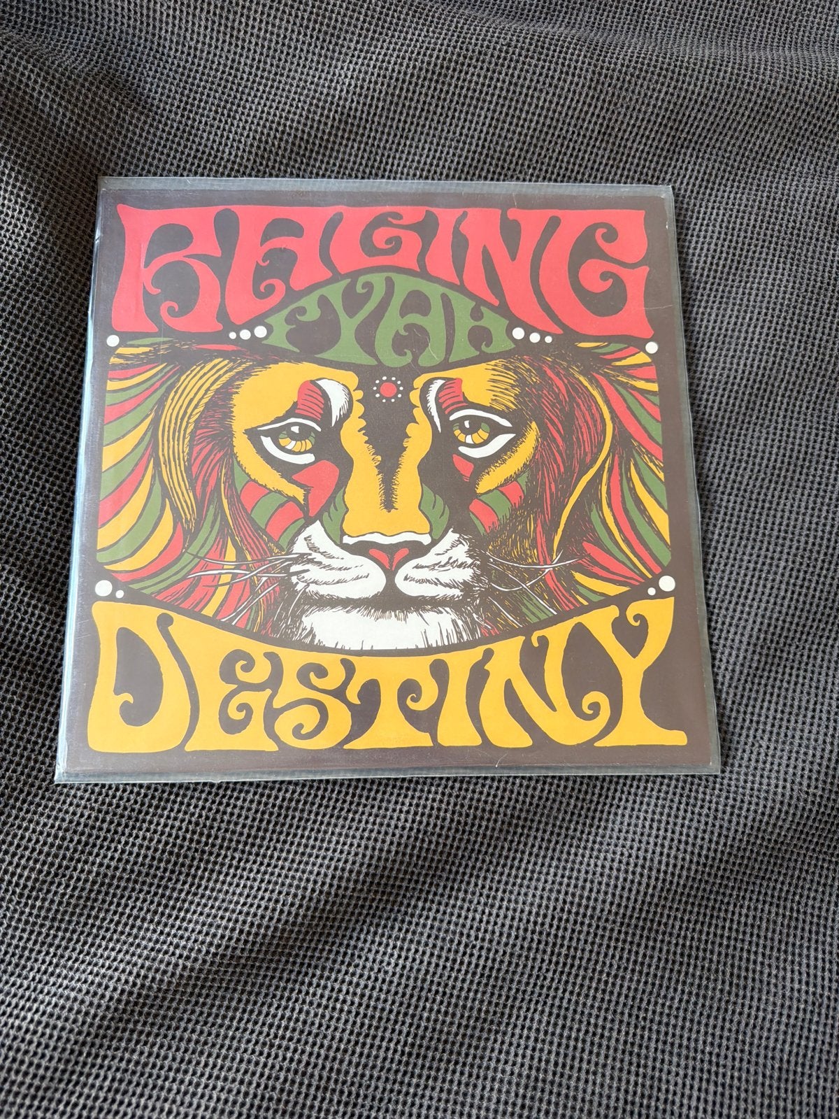 Being Destiny - Reggae Lp (Nieuw in verpakking), Ophalen of Verzenden, Reggae, Nieuw in verpakking, Album