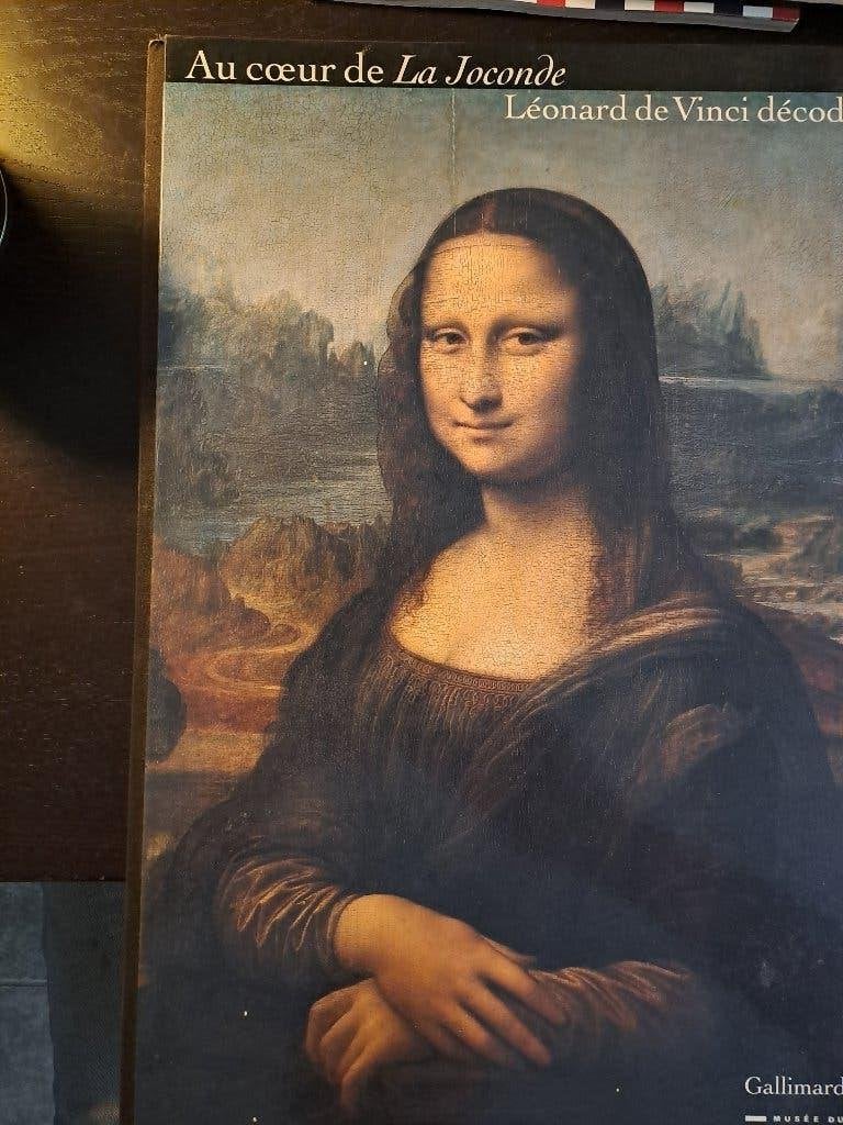Leonard de Vinci décodé, Ophalen, Zo goed als nieuw, Overige onderwerpen