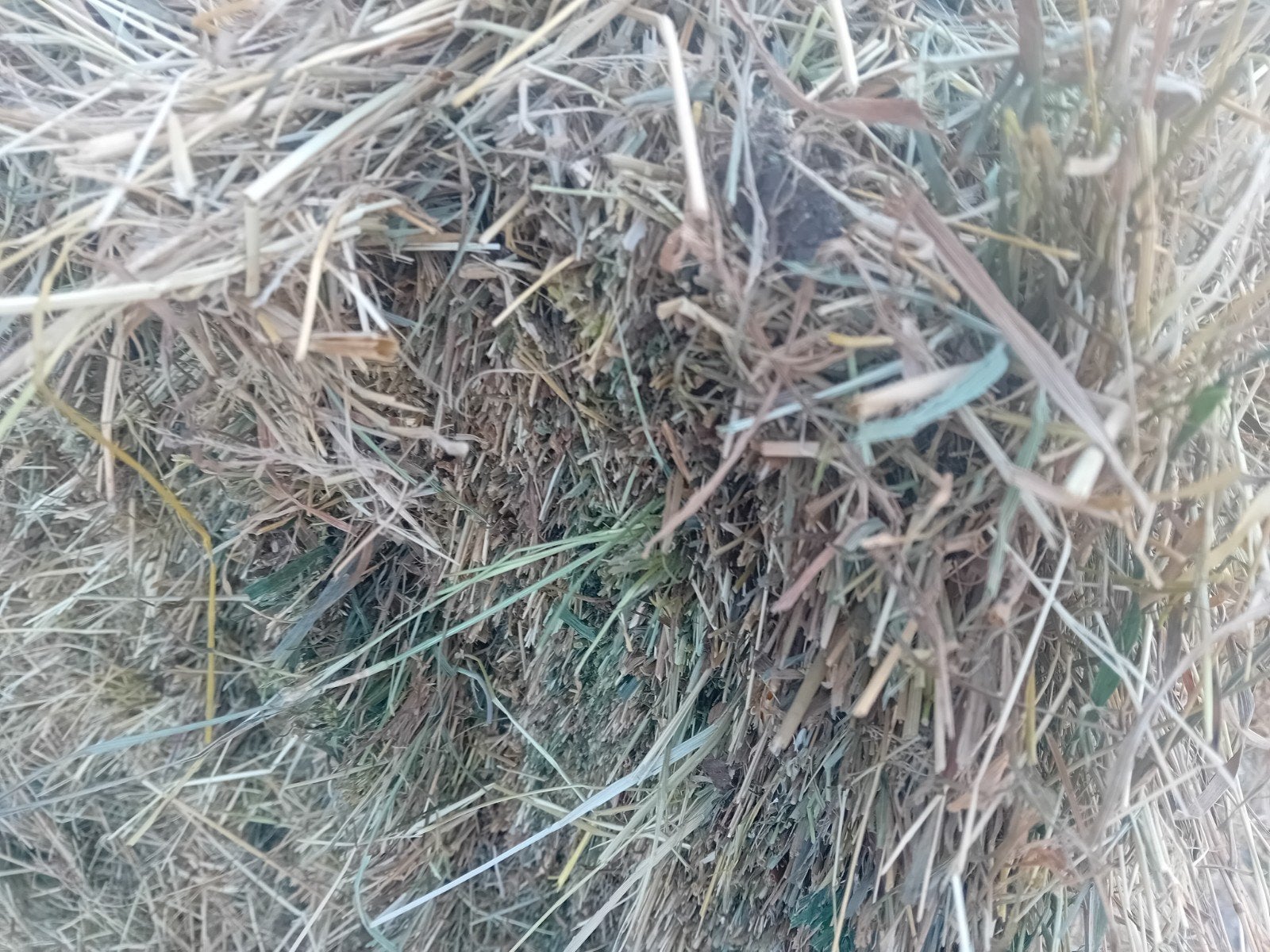 Hooi, Dieren en Toebehoren, Dierenvoeding, Ophalen of Verzenden, Vee