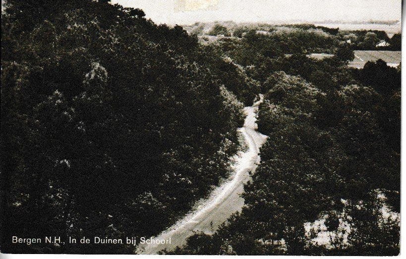 BERGEN N.H. - 1967 - In de DUINEN bij SCHOORL, Ophalen of Verzenden, 1960 tot 1980, Gelopen, Natuur