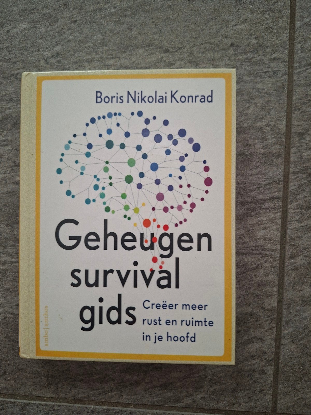 Geheugen survival gids - Boris Nikolai Konrad, Boeken, Ophalen of Verzenden, Zo goed als nieuw, Overige onderwerpen, Boris Nikolai Konrad
