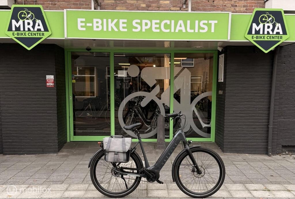Gazelle Ultimate, Fietsen en Brommers, Gebruikt, Gazelle