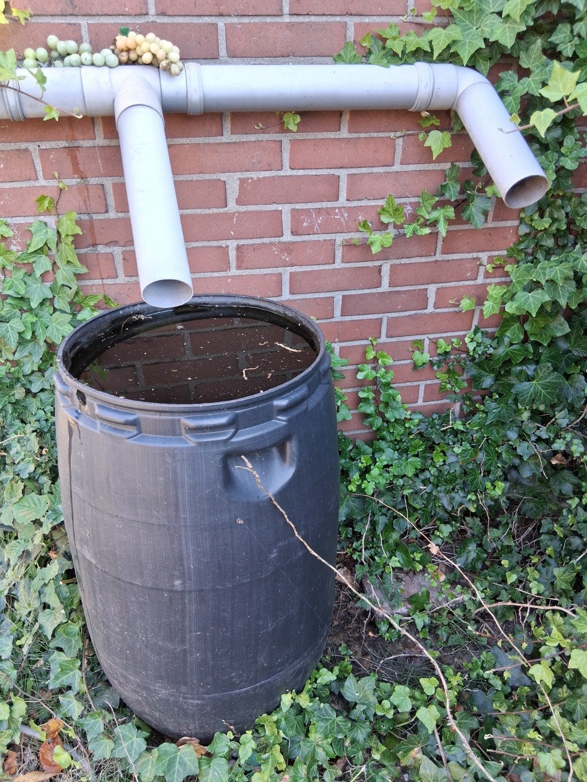 Regenton met regenpijpaansluiting, 150 liter of meer, Ophalen, Gebruikt, Kunststof